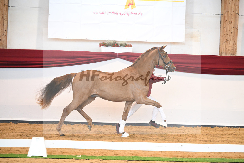 Kat-Nr. 52 v. Vaderland_Galneder_66220719 | hf-fotografie - Realisiert mit Pictrs.com