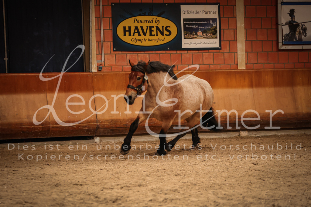 SaFL00310 | Leoni Ertmer Photography - Realisiert mit Pictrs.com