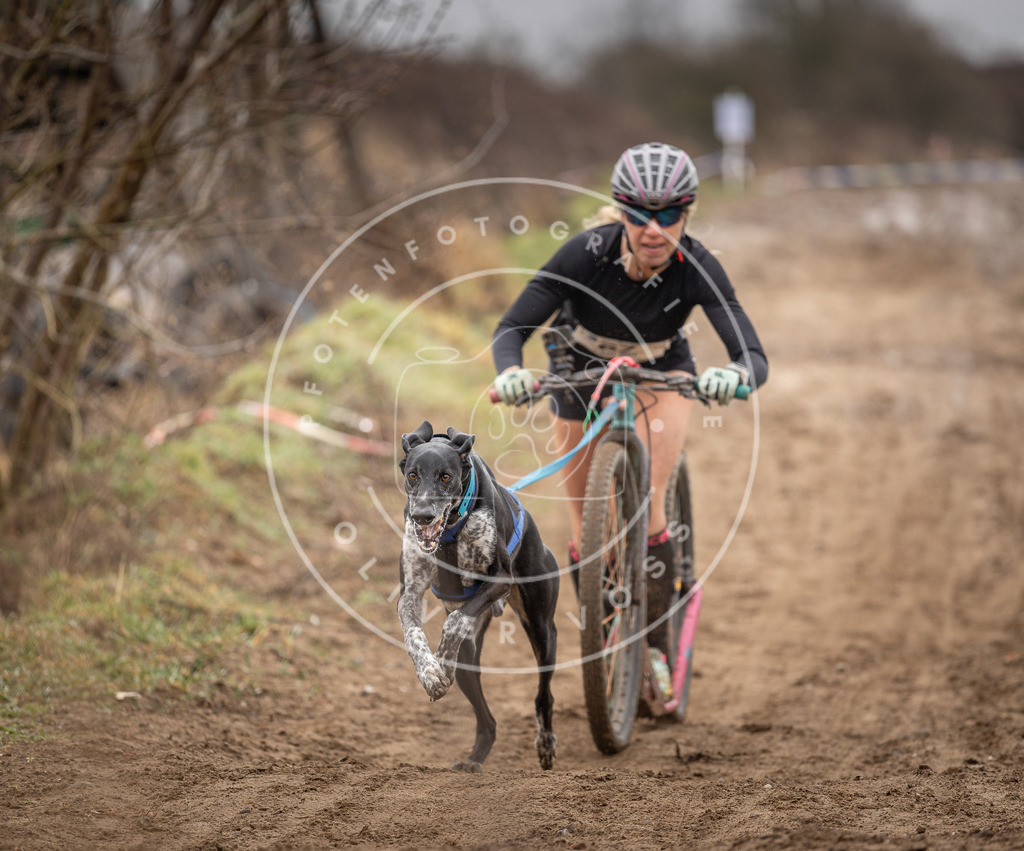 DV3A9564 | Hundefotografie, Tierfotograf, Pfotenfotografie, Fotoshooting Hund, Hunde Portrait, Hundesport, Hundeportraits, Heideshooting, Hunde, Sportfotograf, Hundefotograf, Turnierhundsport, THS,  - Realisiert mit Pictrs.com