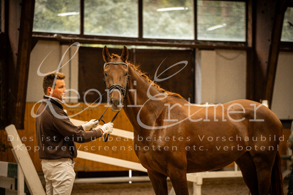 1FS_L00081 | Leoni Ertmer Photography - Realisiert mit Pictrs.com