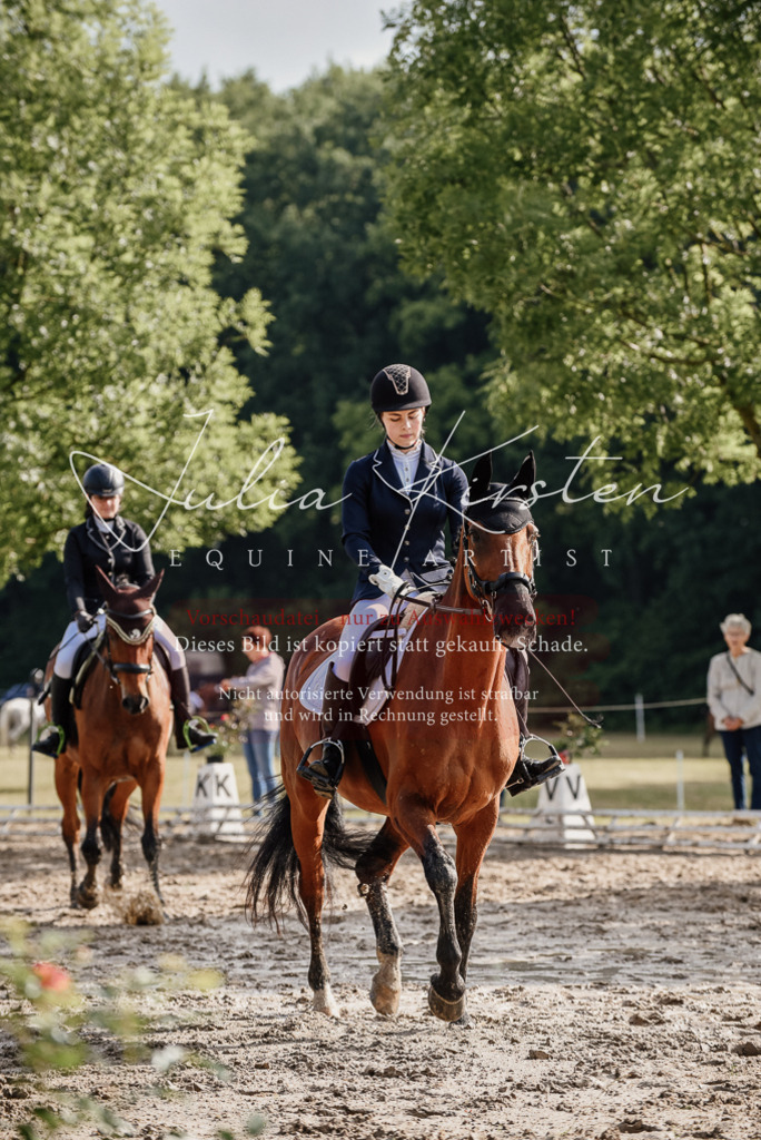 DSC_8467 | Pferde- und Turnierfotografie in Westsachsen. Pferdeportraits, Auftragszeichnungen und intuitive Kunst.
