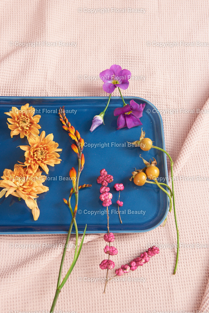 Draufsicht Tablett gelegten Blüten | blaues Tablett mit gelegten Blüten auf rosa Untergrund, Topshot mit Freiraum für Text - Realisiert mit Pictrs.com