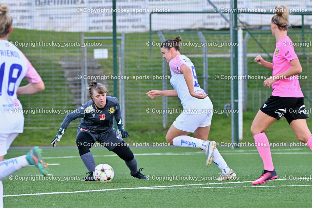 Liwodruck Carinthians Hornets vs. FK Austria Wien Frauen 19.11.2023 | #1 Anja Meier, #9 Alisa Ziletkina