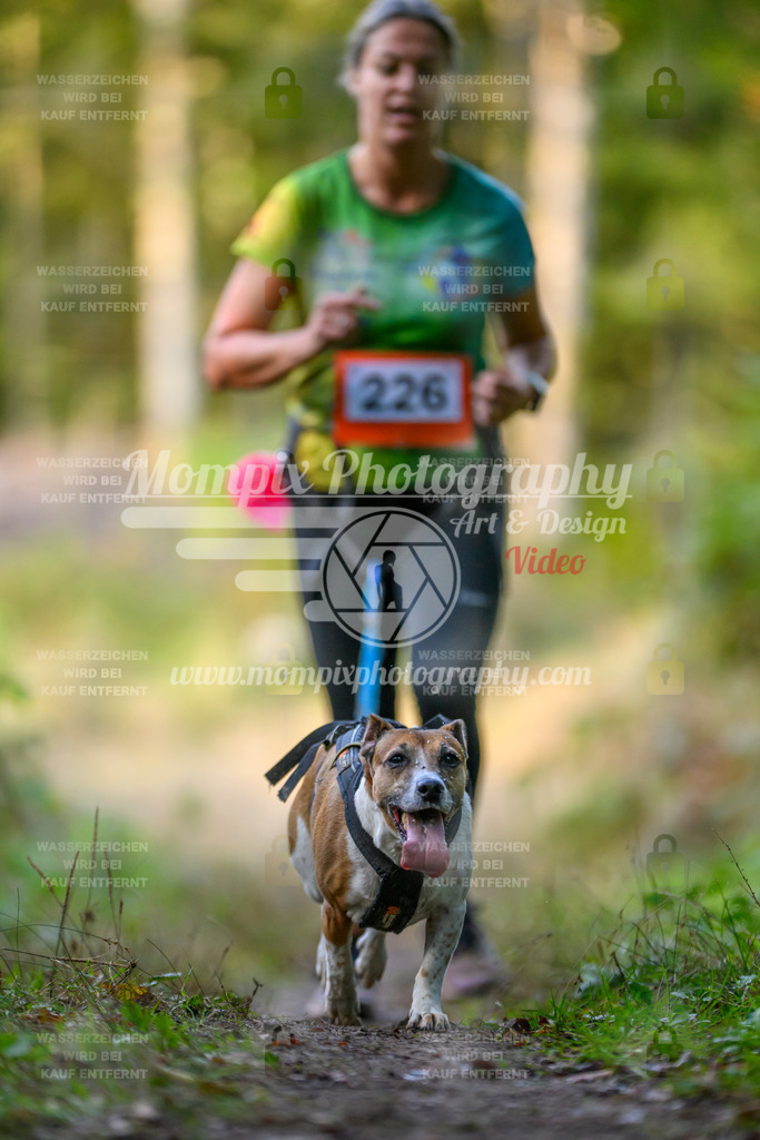 MompixPhotography_Yens2025_B4-70 | PayLife