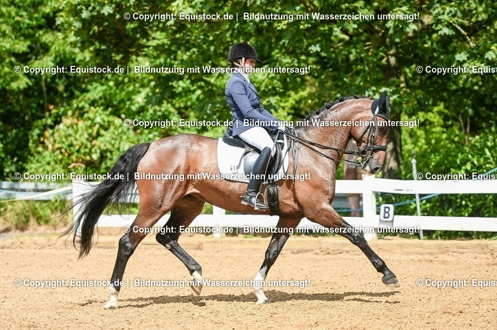 20230716_01_Dressurprüfung Kl.M_0198 | equistock