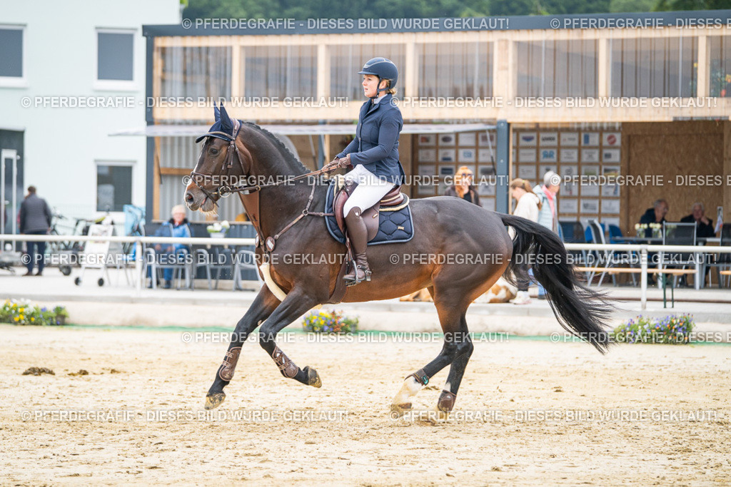 DSC00032 | Pferdegrafie