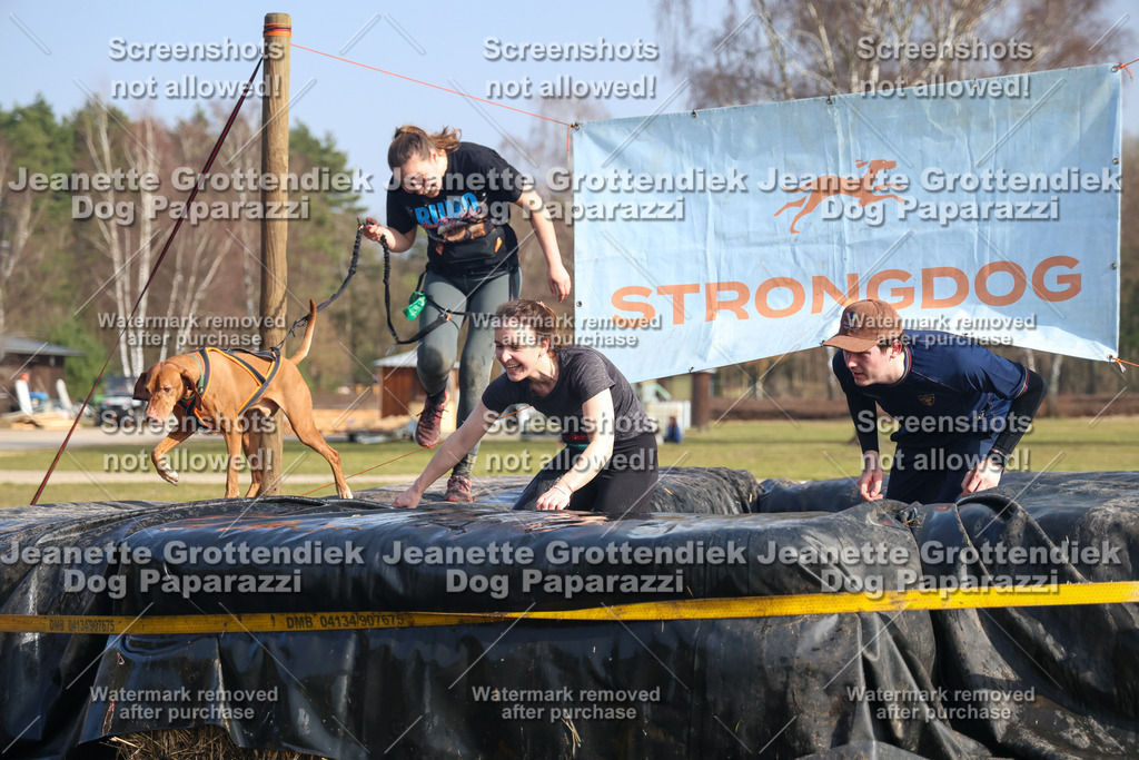 Dog Paparazzi - Strongdog North Mrz26-2409 | Dog Paparazzi Jeanette Grottendiek Fotografie & Videografie - Realisiert mit Pictrs.com