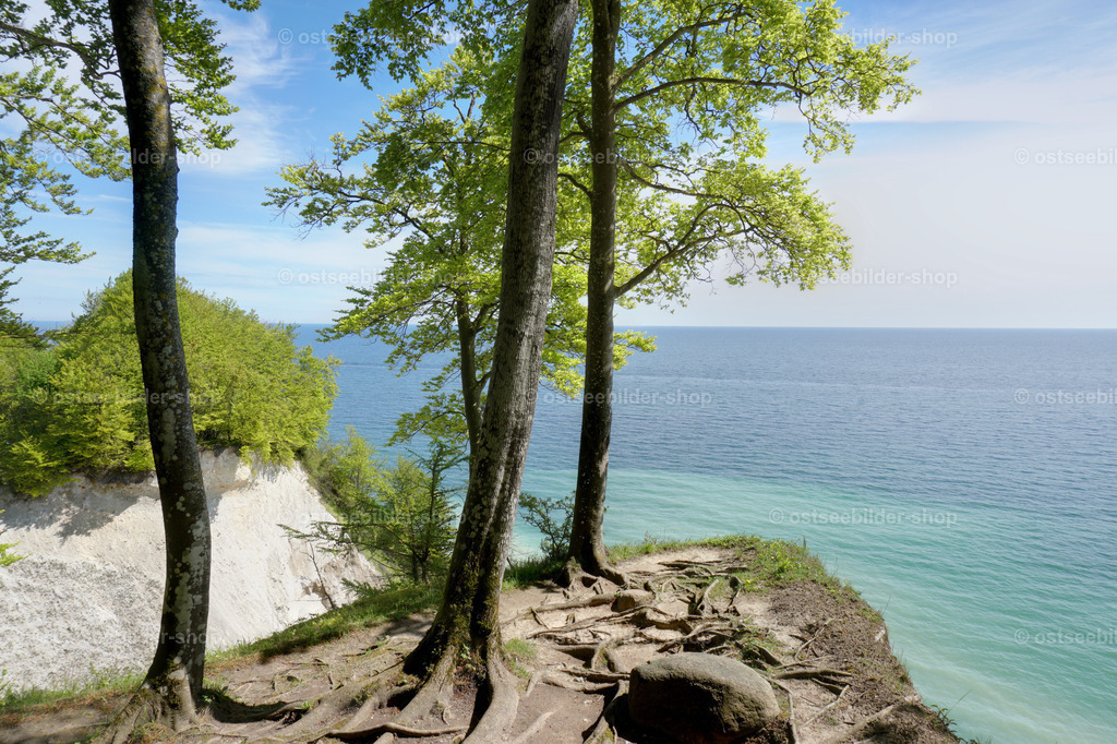 Grandioser Ostseeblick am Tipper Ort im Frühjahr | Das keilförmige Plateau am Tipper Ort auf Rügen bietet einen imposanten Ausblick auf die benachbarten Kreideklippen. In Küstennähe sieht man die aufgelöste Schreibkreide im Ostseewasser schwimmen.  