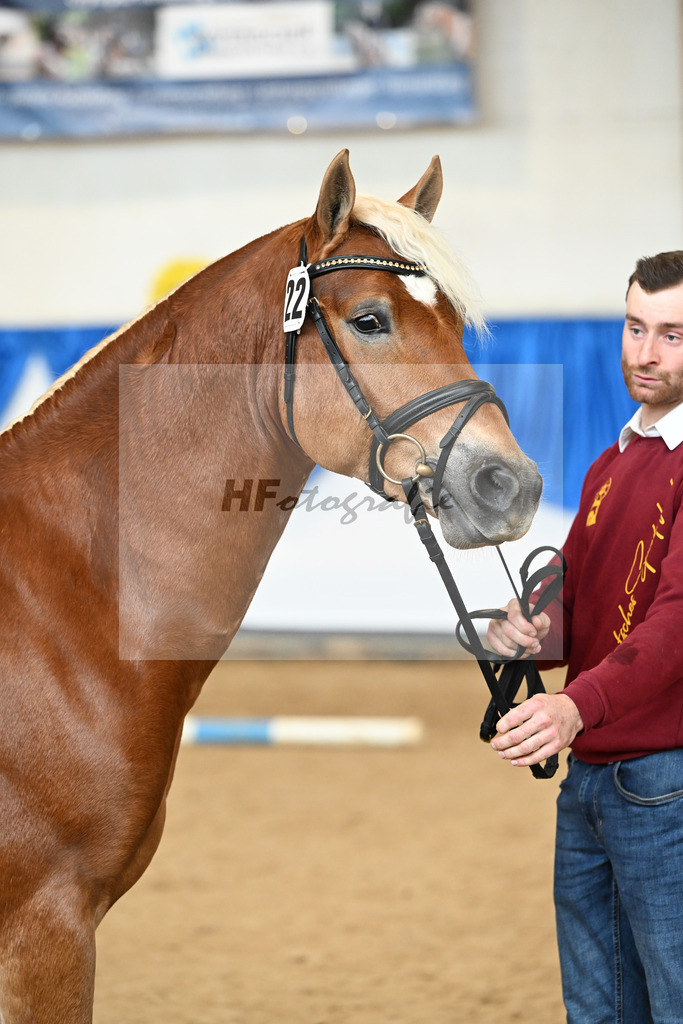 Kat-Nr. 22 Niolando v. Nio_Kirchberger_48251012 | hf-fotografie - Realisiert mit Pictrs.com