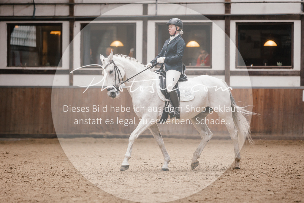 3I6A7346 | Stimmungsvolle Portraits und Reitsportfotografie im Ruhrgebiet und im Münsterland.

Pferdefotografie, Hundefotografie, Tierfotografie, Reportagen, Portraits von Tier und Mensch, Turnierfotografie in Bochum, Recklinghausen, Marl, Haltern am See, Dülmen.. - Realisiert mit Pictrs.com
