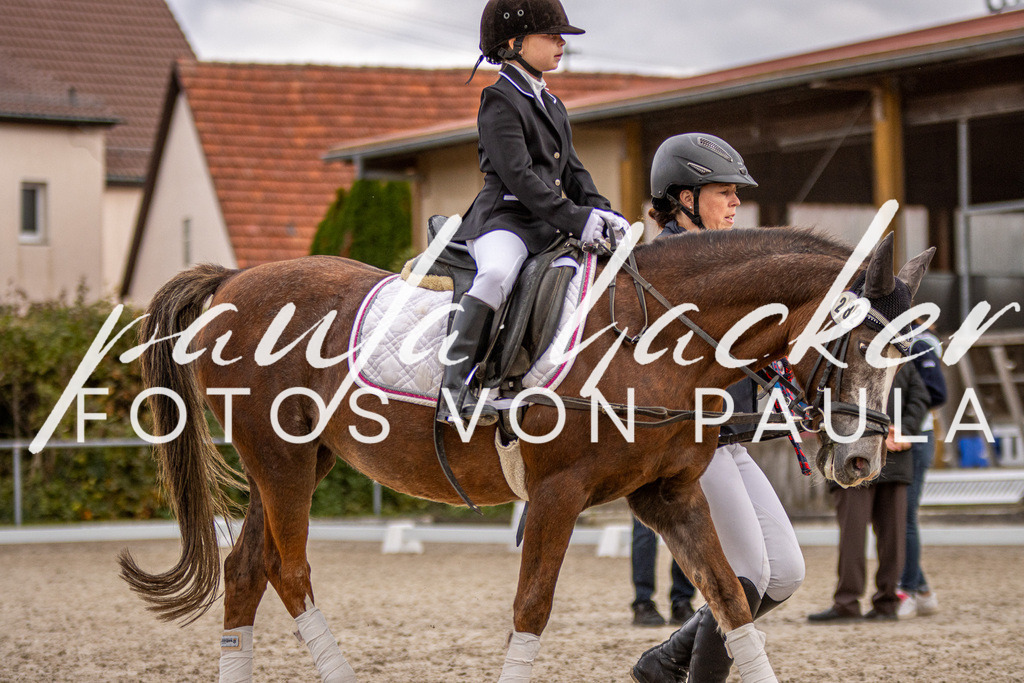 IMG_3909 | Erleben Sie dynamische Sport- und emotionale Tierfotografie in Süddeutschland mit Fotos von Paula. Spezialisiert auf Pferde- und Hundefotografie sowie Sportevents. Kontaktieren Sie mich für einzigartige und ausdrucksstarke Bilder Ihrer besonderen Momente. - Realisiert mit Pictrs.com