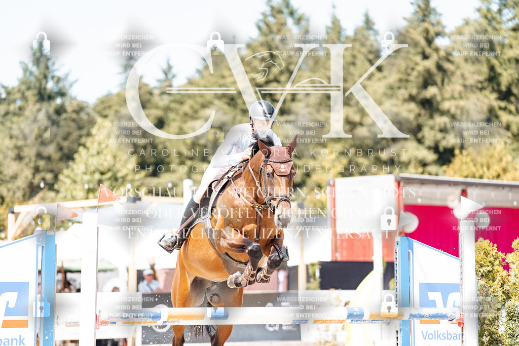 CK900959 | Turnierfotografie Pferdefotografie Trier Rheinland-Pfalz Pferdesport Reitsport Tierfotografie Sportfotografie Pferdevideo Pferdevideografie Equestrianvideography equestrianphotography  - Realisiert mit Pictrs.com