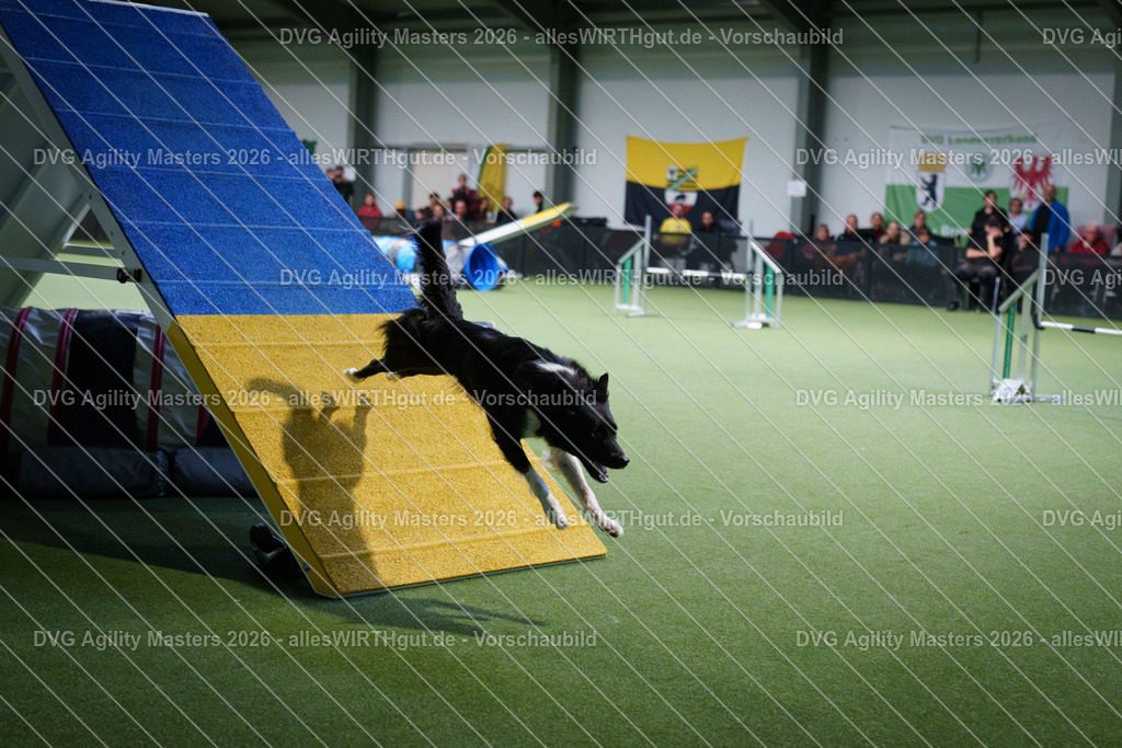 allesWIRTHgut_Tierfotografie-DVG_Agility_Masters_2026-15_58-7R507366 | Professionelle Tierfotografie in Mönchengladbach von Daniel Wirth (allesWIRTHgut). Liebevolle & natürliche Bilder von Hunden & Katzen für unvergessliche Erinnerungen.