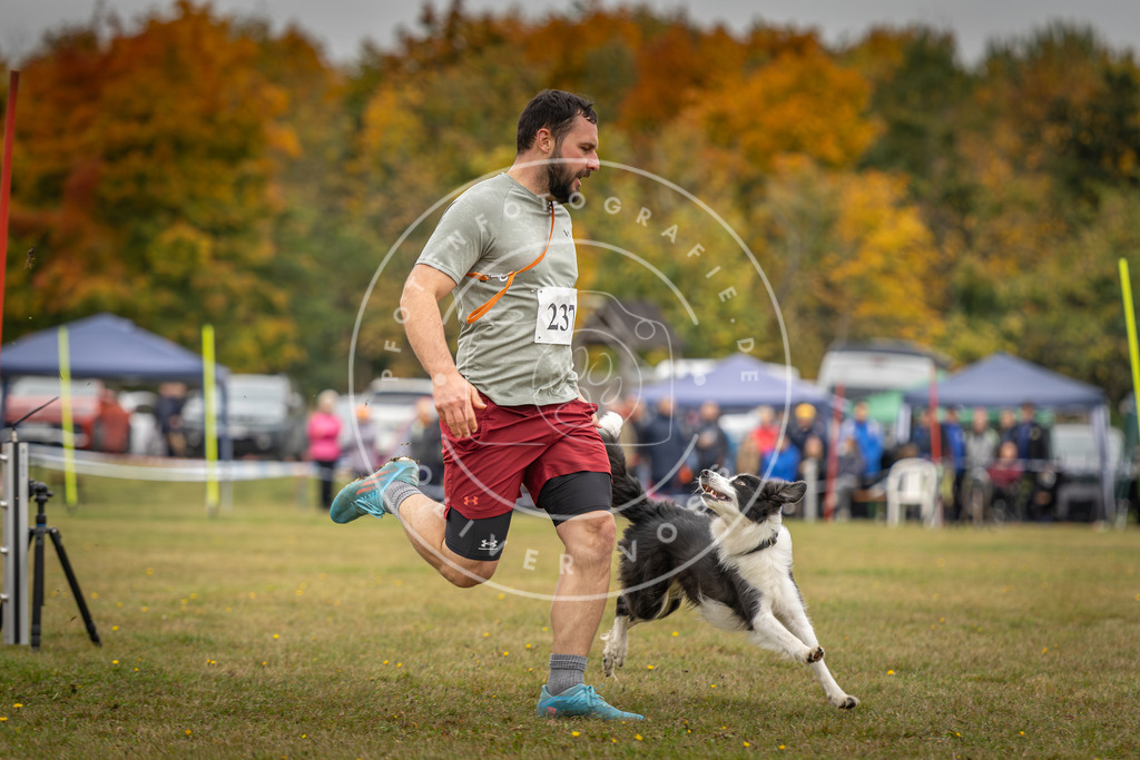 Pfotenfotografie_DV3A5313 | Hundefotografie, Tierfotograf, Pfotenfotografie, Fotoshooting Hund, Hunde Portrait, Hundesport, Hundeportraits, Heideshooting, Hunde, Sportfotograf, Hundefotograf, Turnierhundsport, THS,  - Realisiert mit Pictrs.com
