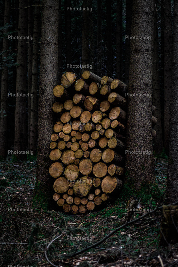 IMG_8406 | phototaetig