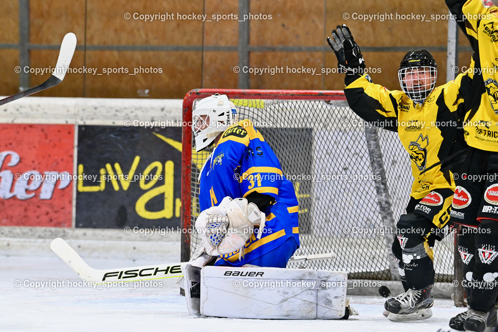 EC Spittal Hornets vs. EHC Althofen 6.1.2024 | #31 Horn Fabian, #98 Thalhammer Dominic, Jubel EC Spittal Hornets