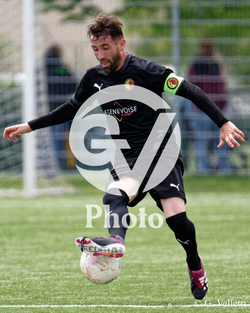 DSC_4365 | Velletri Photo