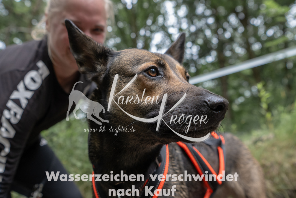 1331_ZZ94391 | kk-dogfotos