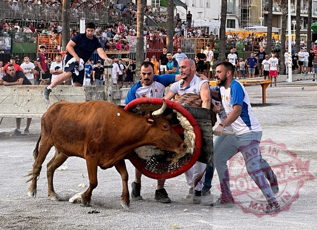 Bous a la Mar festival in Dénia Spain | Crowd watching young men interacting with a bull during the traditional Dénia festival - Realisiert mit Pictrs.com