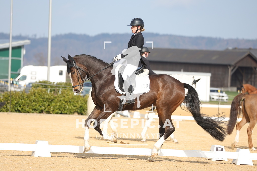 0P6A6153 | Willkommen bei Brunnmayr - Design & Fotografie – Ihrem Spezialisten für Reitturniere und Pferdeveranstaltungen in Oberösterreich, Salzburg und Bayern! Seit über 17 Jahren sind wir leidenschaftlich dabei.