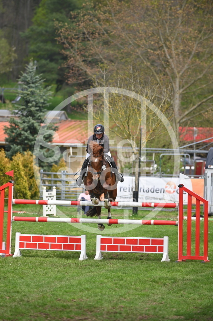 DSC_3776 | sattelsport - Realisiert mit Pictrs.com