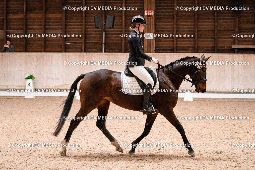 Dressur Tag 3-166 | dv-media-shop - Realisiert mit Pictrs.com