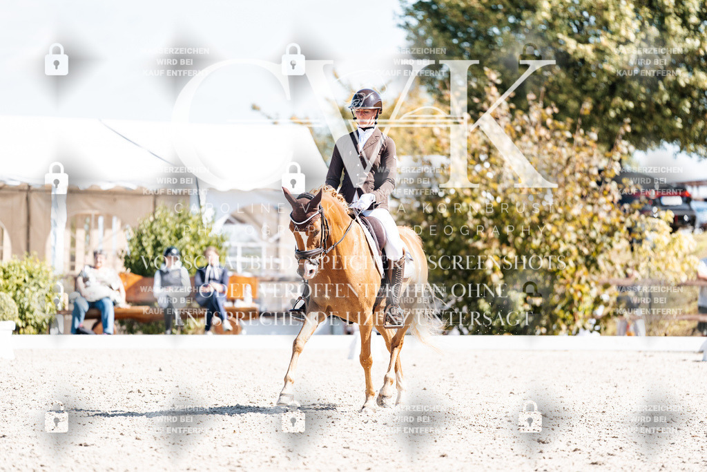 CK903675 | Turnierfotografie Pferdefotografie Trier Rheinland-Pfalz Pferdesport Reitsport Tierfotografie Sportfotografie Pferdevideo Pferdevideografie Equestrianvideography equestrianphotography  - Realisiert mit Pictrs.com