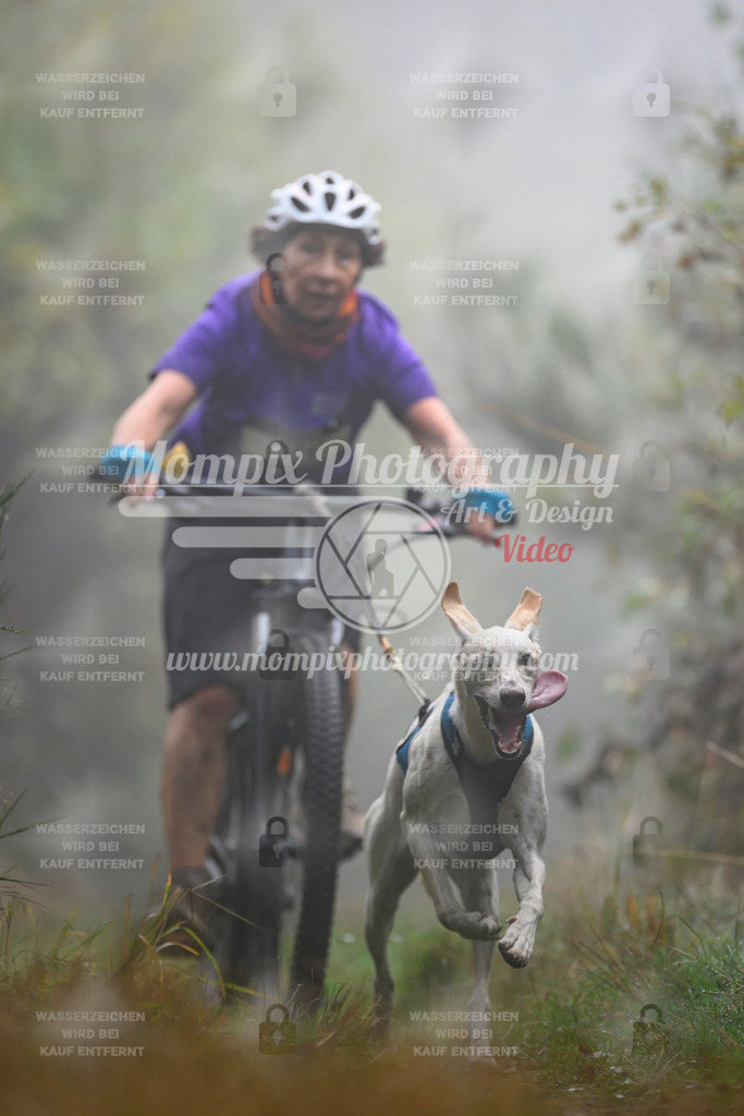 MompixPhotography_20TSB_E4_Bike-129 | PayLife