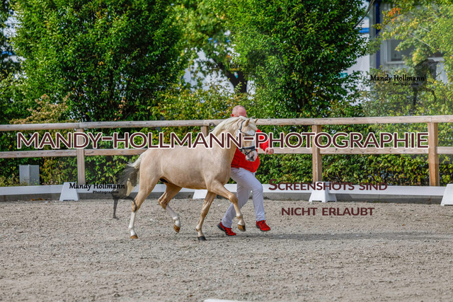 GK (258 von 759) | mandyhollmannphotographie