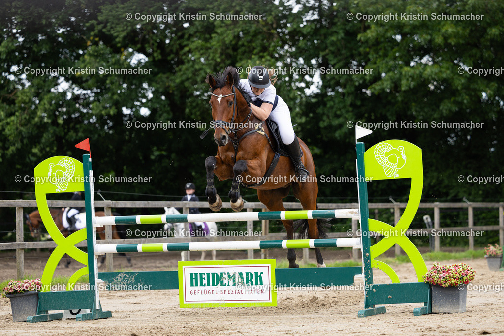 Prf. 26-41 | Kristin Schumacher Photography