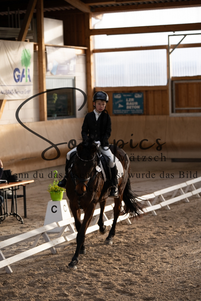 A7V09060 | Pferdefotograf