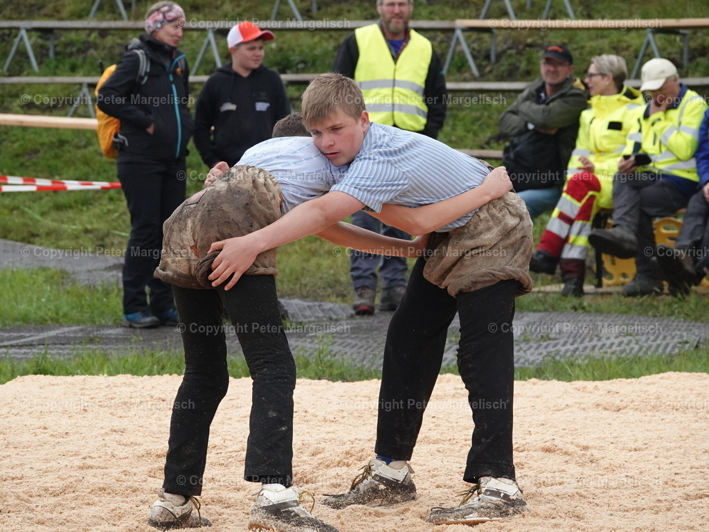 DSC07866 | Schwingen - Realisiert mit Pictrs.com