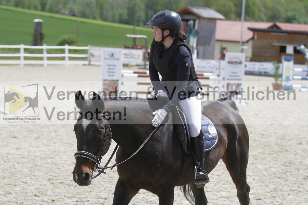 _MG_2015 | equestrian-live-com