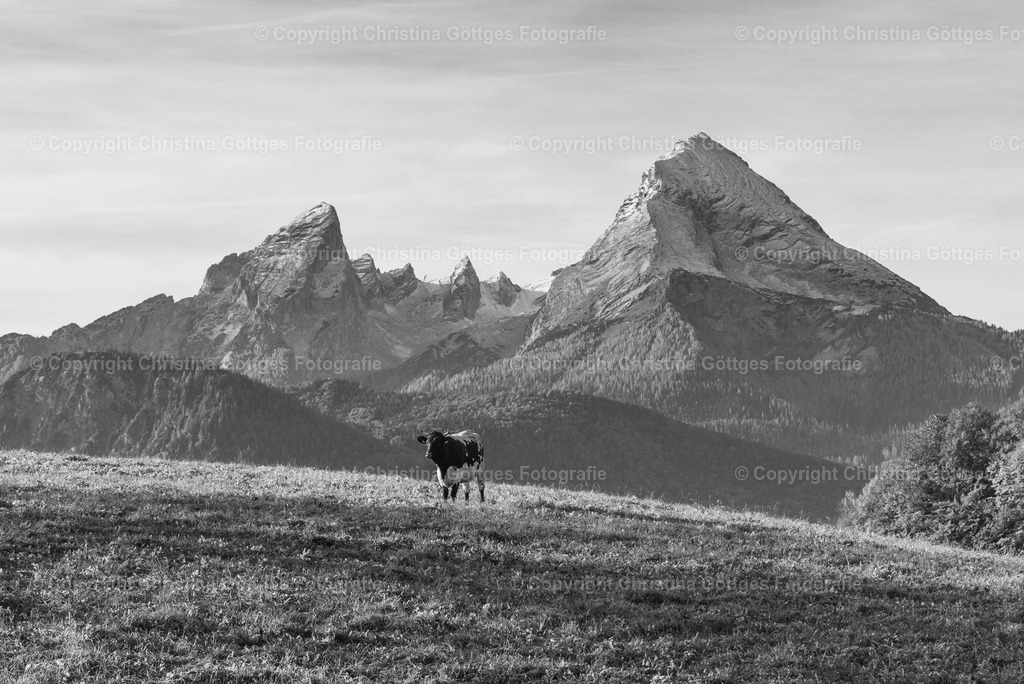 DSC_9027 | Leinwand, Berchtesgaden, Leinwand Berchtesgaden, 
Bilder Berchtesgaden, Foto Druck, Kalender Berchtesgaden, 
Fotogalerie Berchtesgaden, Rahmen, Fotograf Berchtesgaden,
Fotograf, Landschaftsbilder, Drohnenaufnahmen, Berchtesgadener Land, Foto  - Realisiert mit Pictrs.com