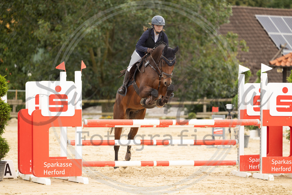 994A8696 | sabrinanicolaifotografie - Realisiert mit Pictrs.com