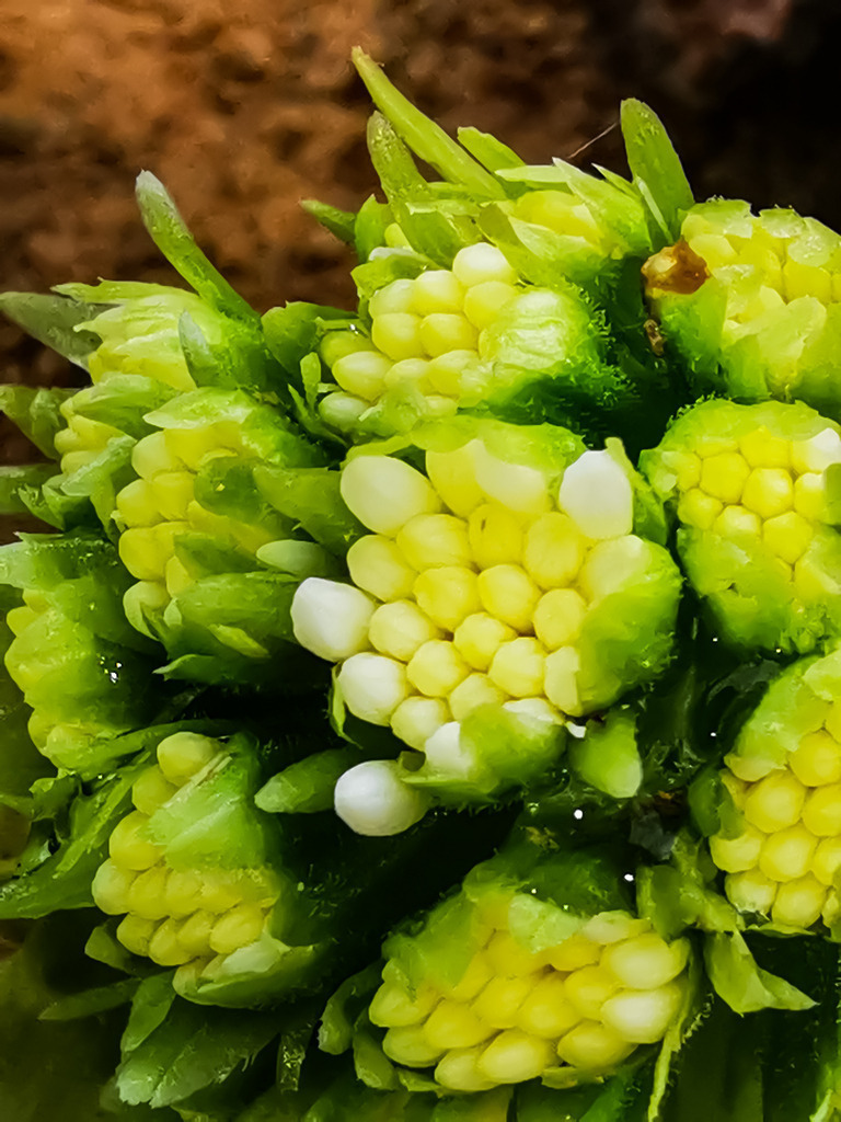 PSX_20230320_223641 | mtkfoto_ - Realisiert mit Pictrs.com