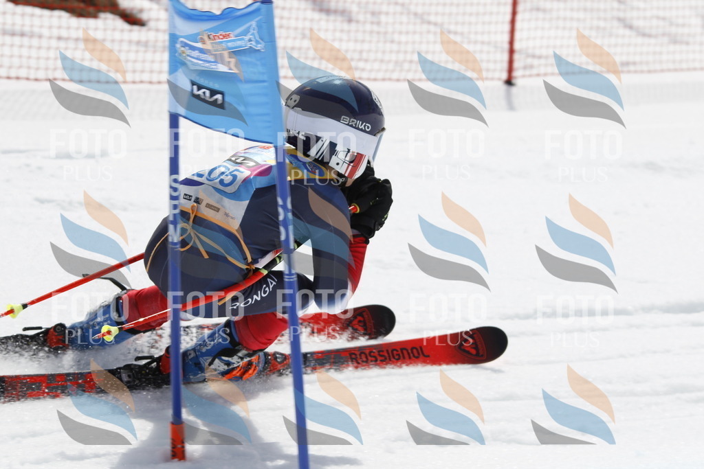 _U3G2143 | holidayphoto