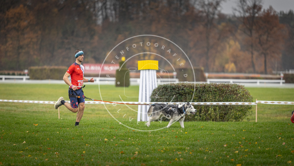 CaniXpix_DV3A9530 | Hundefotografie, Tierfotograf, Pfotenfotografie, Fotoshooting Hund, Hunde Portrait, Hundesport, Hundeportraits, Heideshooting, Hunde, Sportfotograf, Hundefotograf, Turnierhundsport, THS,  - Realisiert mit Pictrs.com