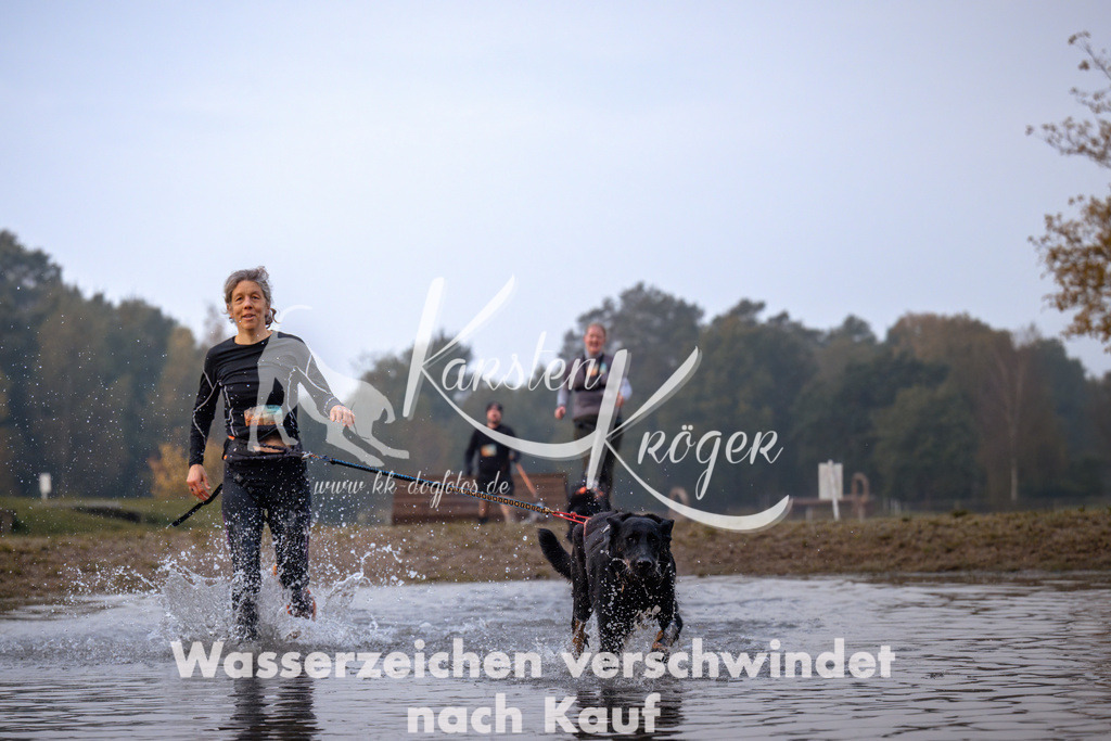 0817_ZZ91065 | kk-dogfotos