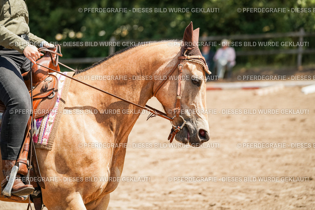 DSC06718 | Pferdegrafie