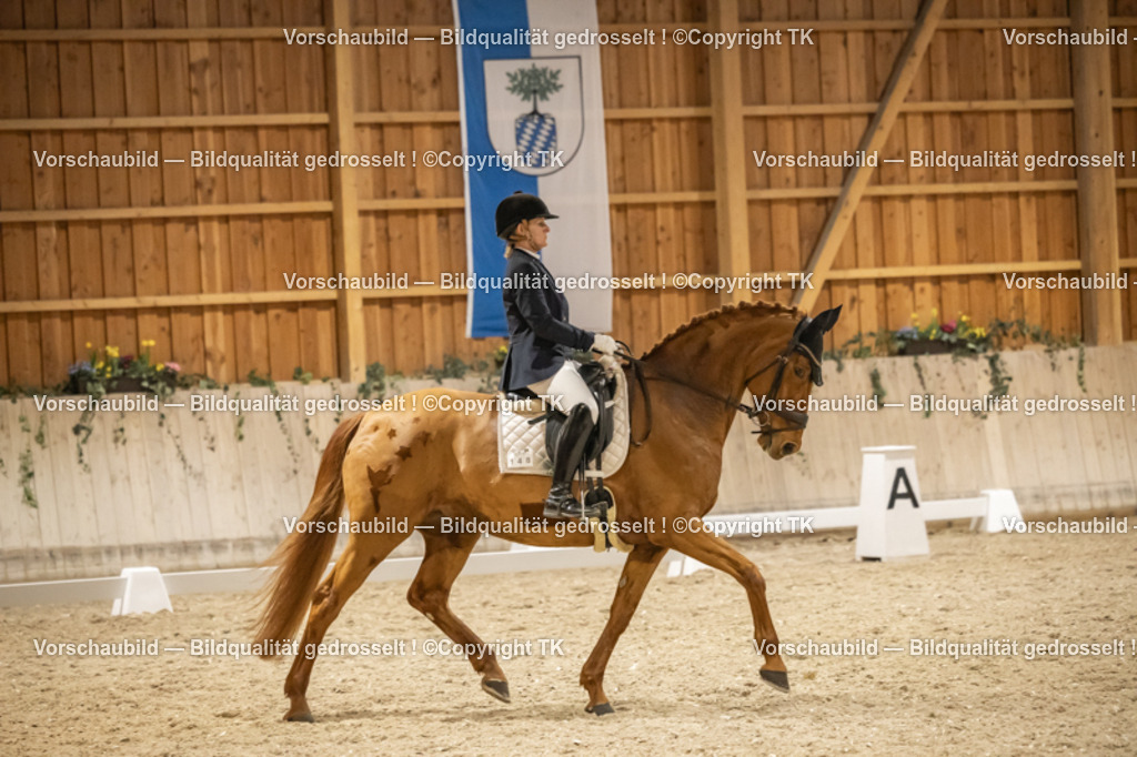 _D5A0804 | Emotionale Pferde- & People-Fotografie rund um Heidelberg, Leimen & Umgebung. Natürliche Fotos von Pferd, Mensch & Familie. Jetzt Termin sichern!