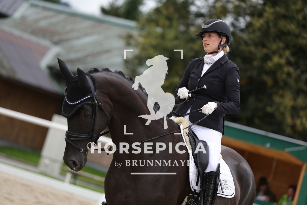 0P6A9161 | Willkommen bei Brunnmayr - Design & Fotografie – Ihrem Spezialisten für Reitturniere und Pferdeveranstaltungen in Oberösterreich, Salzburg und Bayern! Seit über 17 Jahren sind wir leidenschaftlich dabei.