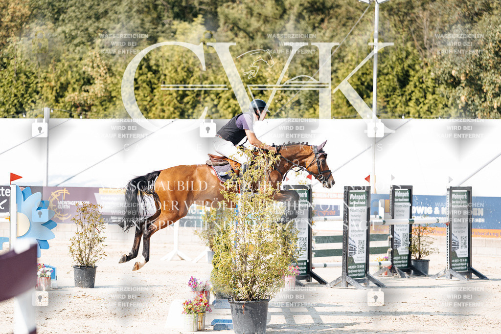 CK902312 | Turnierfotografie Pferdefotografie Trier Rheinland-Pfalz Pferdesport Reitsport Tierfotografie Sportfotografie Pferdevideo Pferdevideografie Equestrianvideography equestrianphotography  - Realisiert mit Pictrs.com
