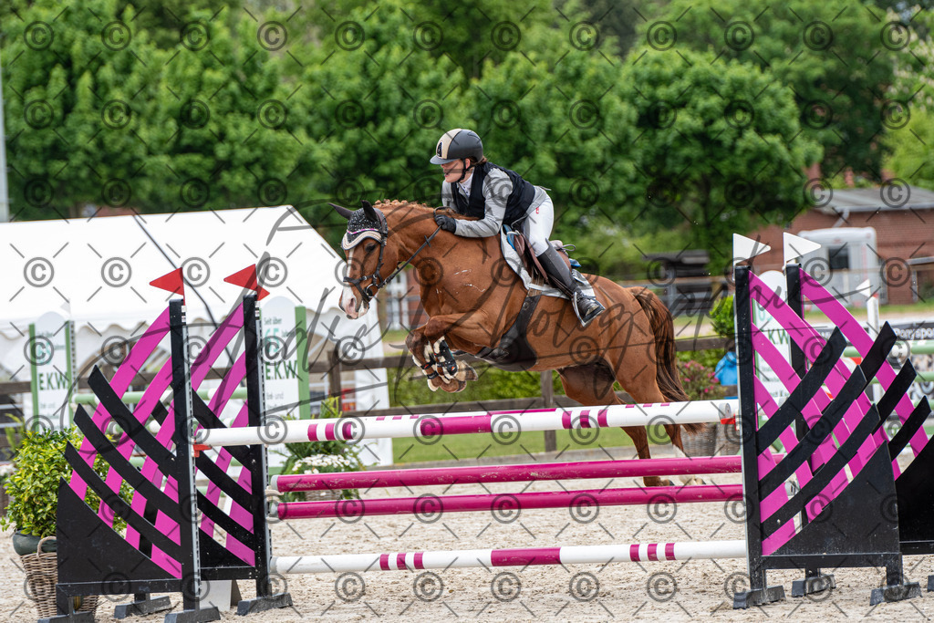 KPT_8166 | andre_photographic