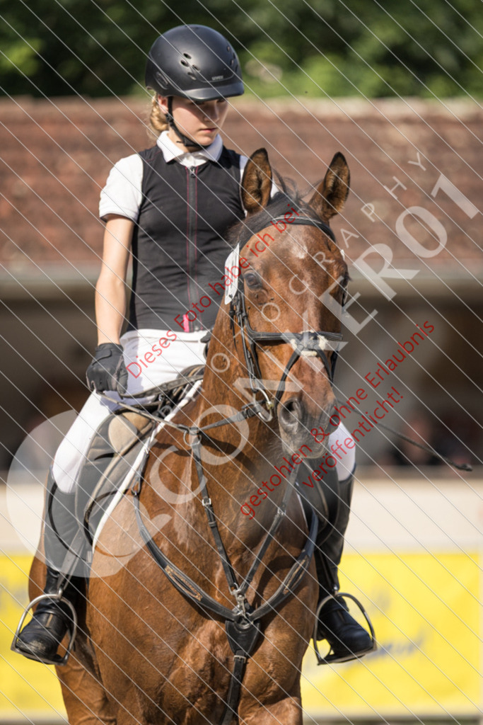 IMG_5980 | Sport-, Event- und Tierfotos in Profiqualität. Einfach auswählen, bestellen und herunterladen. Dein Moment – perfekt festgehalten.