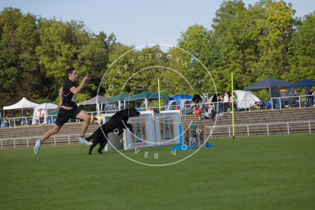 0L8A4099 | Hundefotografie, Tierfotograf, Pfotenfotografie, Fotoshooting Hund, Hunde Portrait, Hundesport, Hundeportraits, Heideshooting, Hunde, Sportfotograf, Hundefotograf, Turnierhundsport, THS,  - Realisiert mit Pictrs.com
