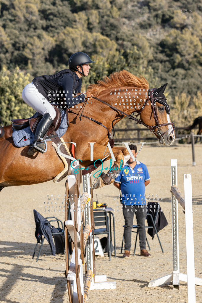 IMG_0545 | s-jay-photography - Realisiert mit Pictrs.com