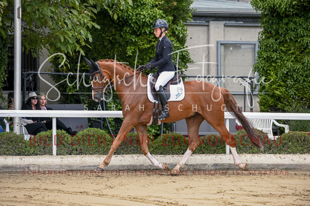 Schugtsche-Aluta25-48.Reitpferfdeprf.-130 | Schugtsche Fotografie - Realisiert mit Pictrs.com