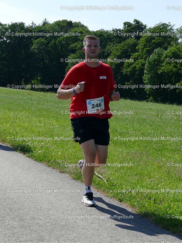 P1110579 | Hüttlinger Muffigelläufe - Realisiert mit Pictrs.com