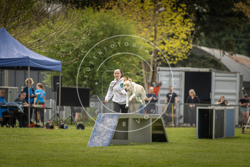 Pfotenfotografie_DV3A6536 | Hundefotografie, Tierfotograf, Pfotenfotografie, Fotoshooting Hund, Hunde Portrait, Hundesport, Hundeportraits, Heideshooting, Hunde, Sportfotograf, Hundefotograf, Turnierhundsport, THS,  - Realisiert mit Pictrs.com